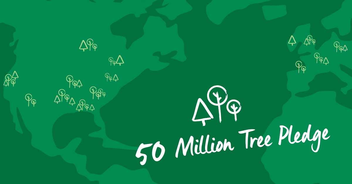 Tree Planting Graphic
