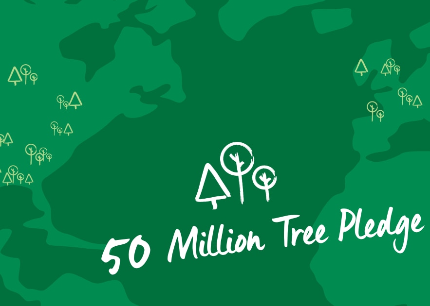 Tree Planting Graphic